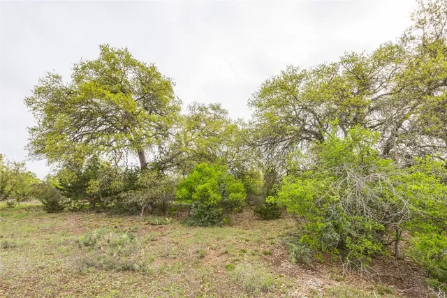 $250,000 | Tbd Tbd Logan's Way, Blanco, TX 78606