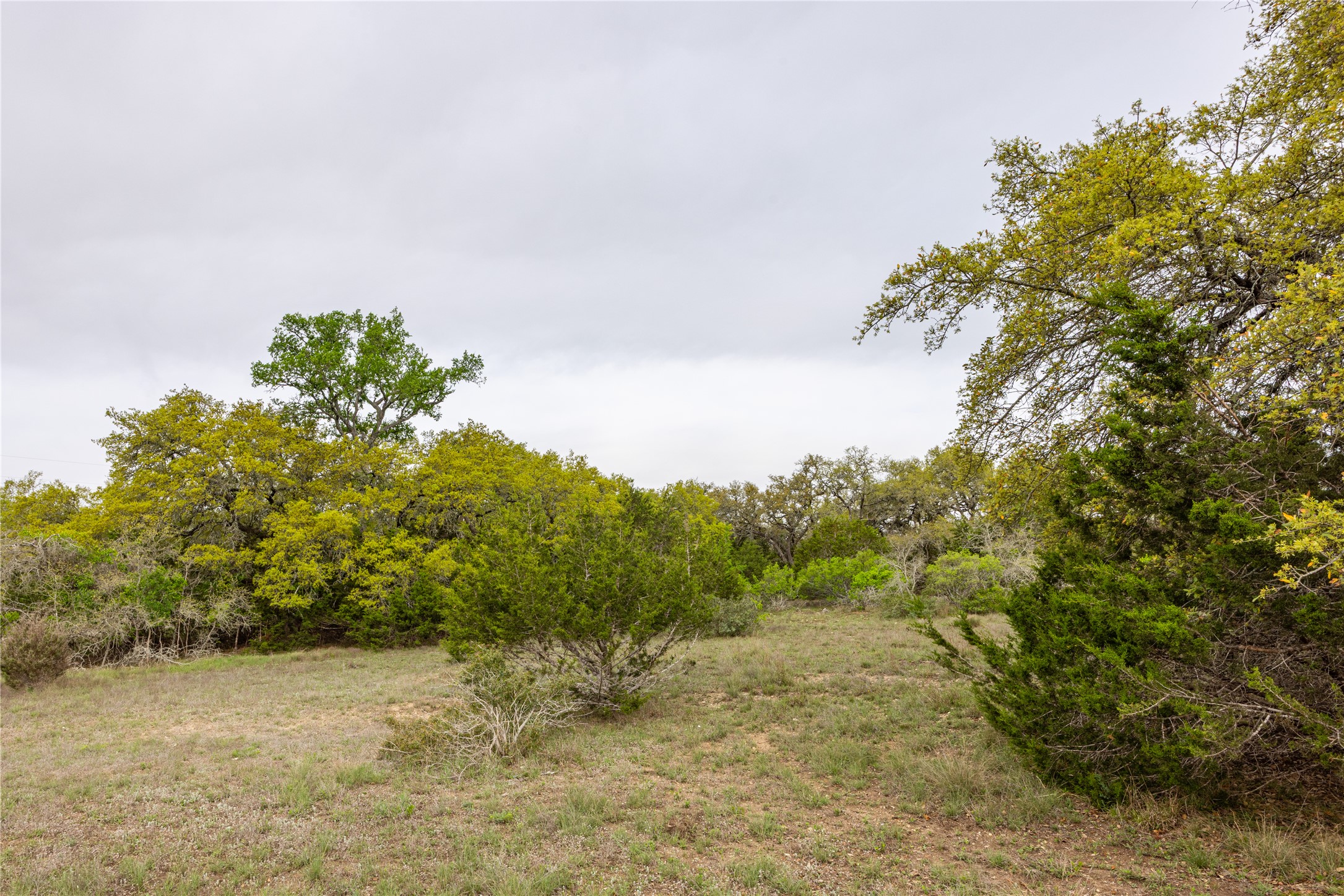 Tbd Tbd Logan's Way Blanco, TX 78606 - Photo 15 of 25 a view of a yard