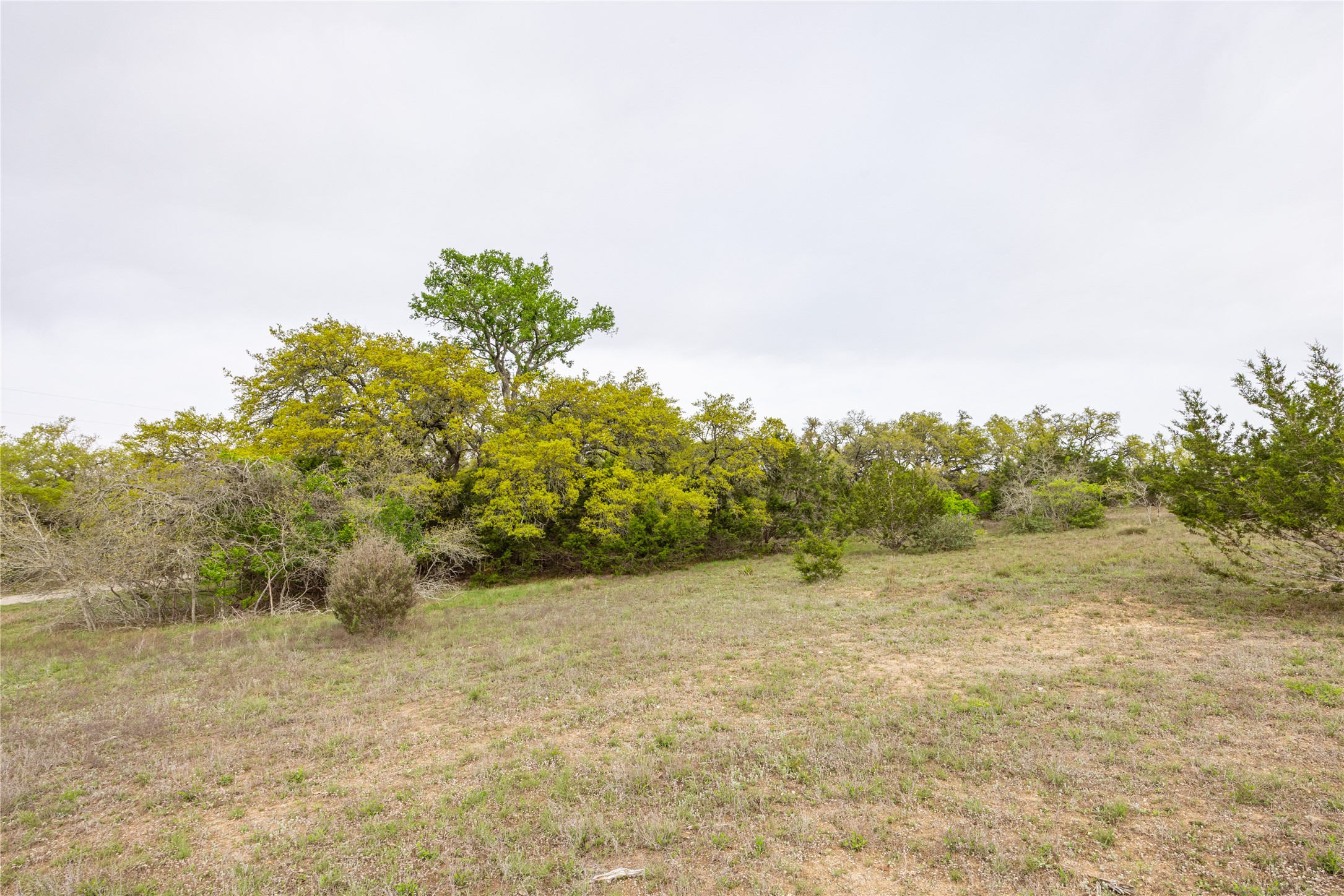 Tbd Tbd Logan's Way Blanco, TX 78606 - Photo 16 of 25 a view of a big yard with trees