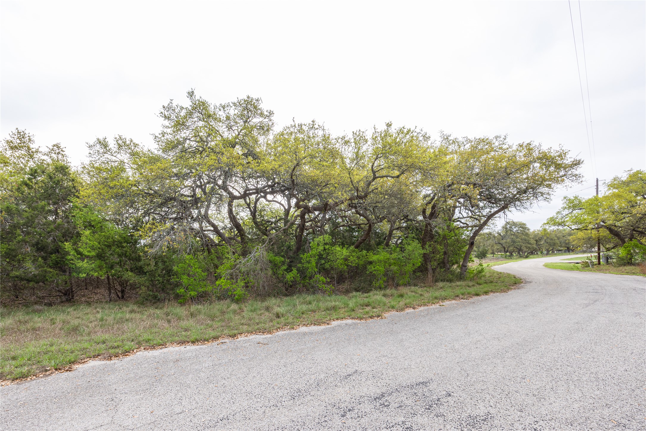 Tbd Tbd Logan's Way Blanco, TX 78606 - Photo 19 of 25 a view of a road with a trees in the background