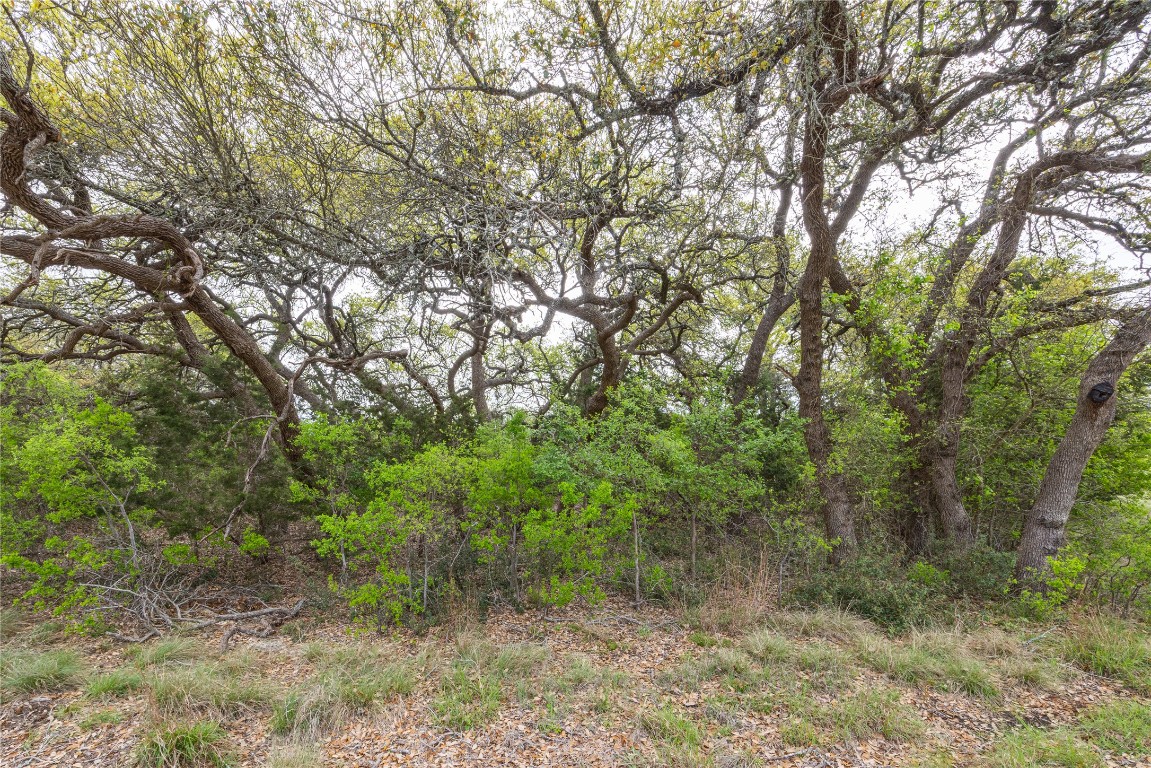 Tbd Tbd Logan's Way Blanco, TX 78606 - Photo 20 of 25