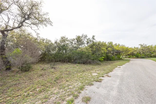 $250,000 | Tbd Tbd Logan's Way, Blanco, TX 78606
