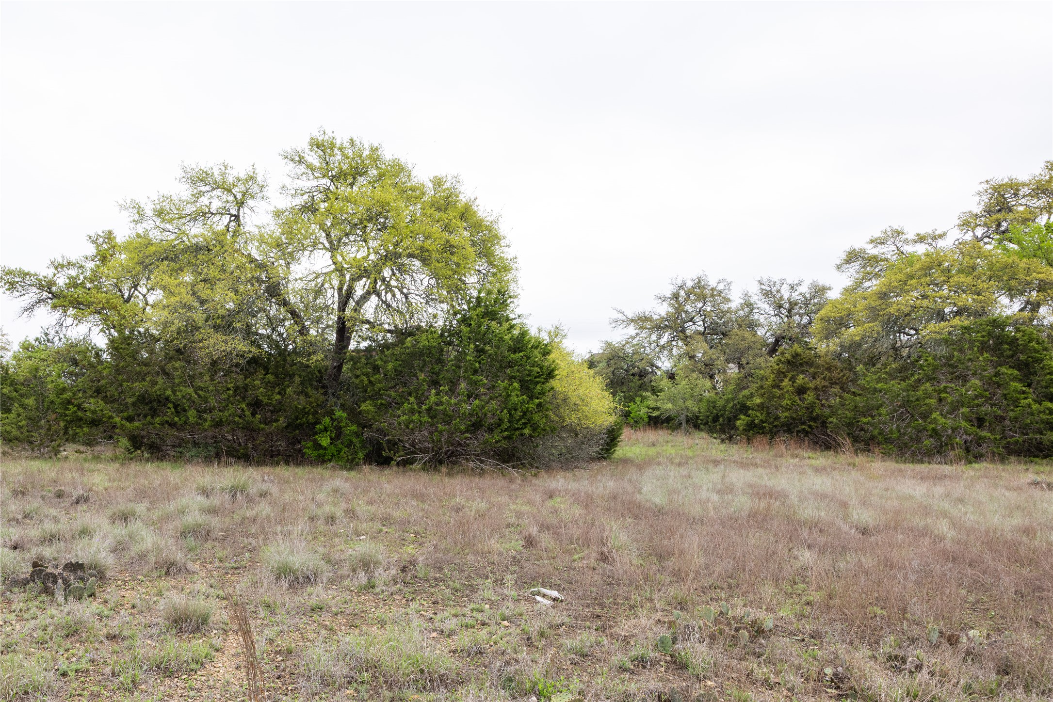 Tbd Tbd Logan's Way Blanco, TX 78606 - Photo 3 of 25 a view of a forest with trees in the background