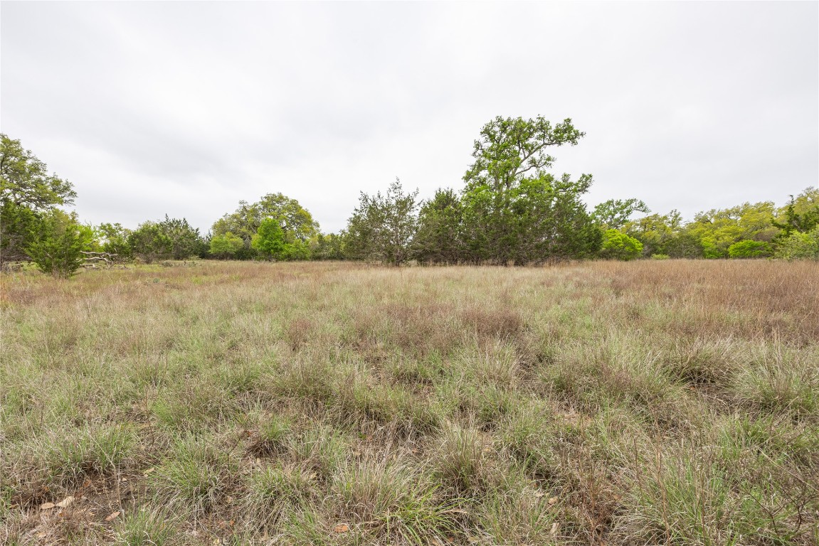 Tbd Tbd Logan's Way Blanco, TX 78606 - Photo 4 of 25