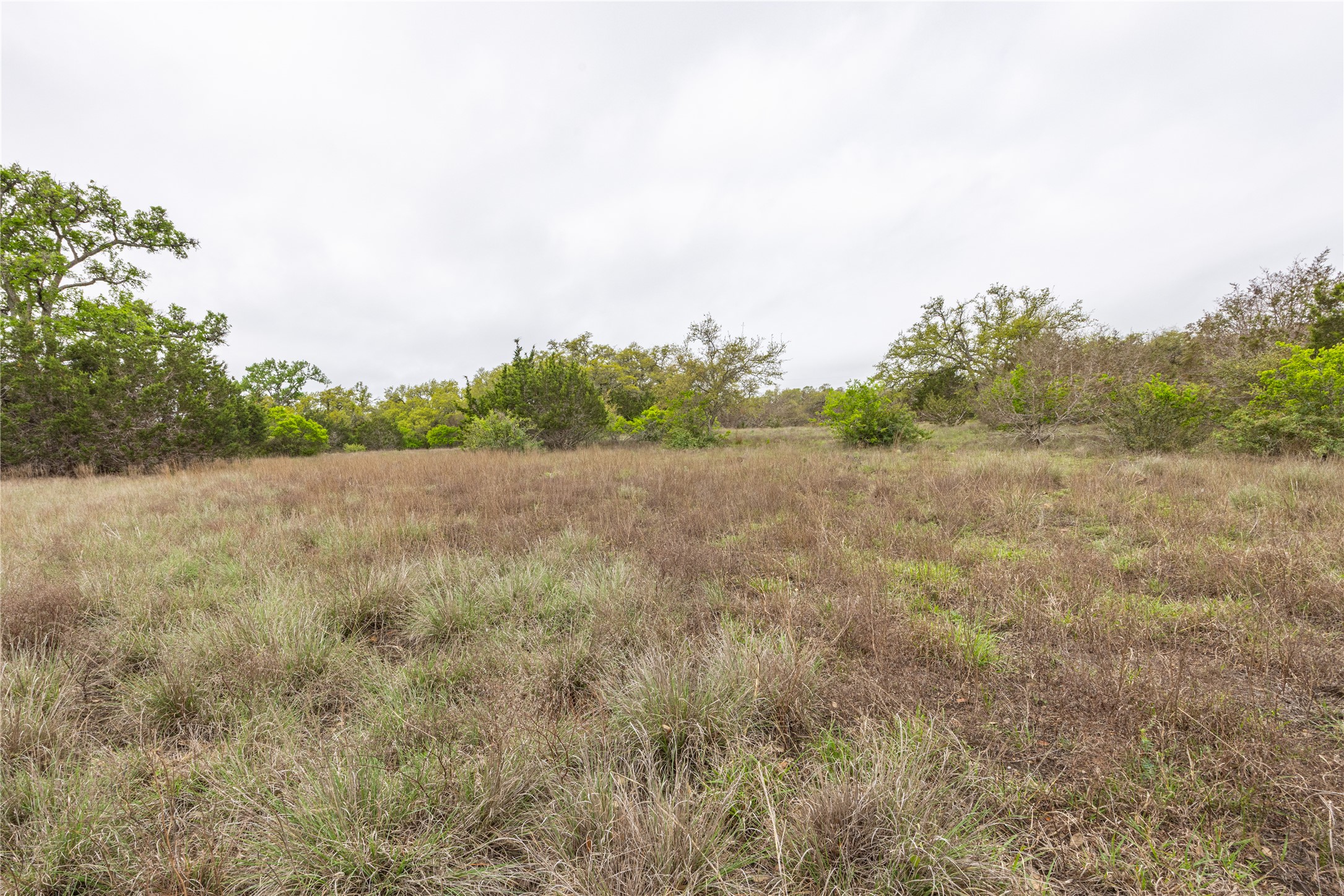 Tbd Tbd Logan's Way Blanco, TX 78606 - Photo 5 of 25 a view of a field with trees in background
