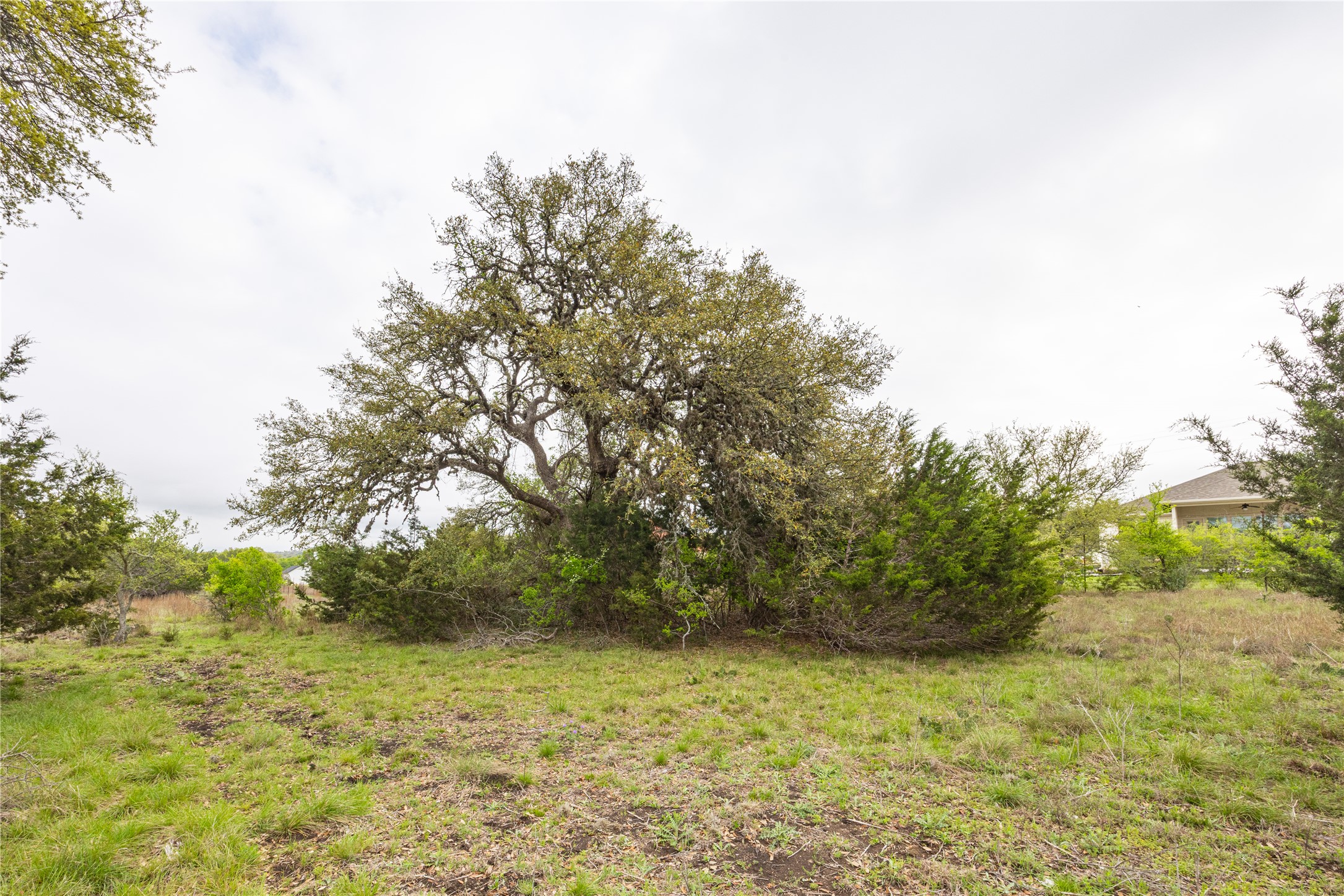 Tbd Tbd Logan's Way Blanco, TX 78606 - Photo 6 of 25 a view of a yard with a tree