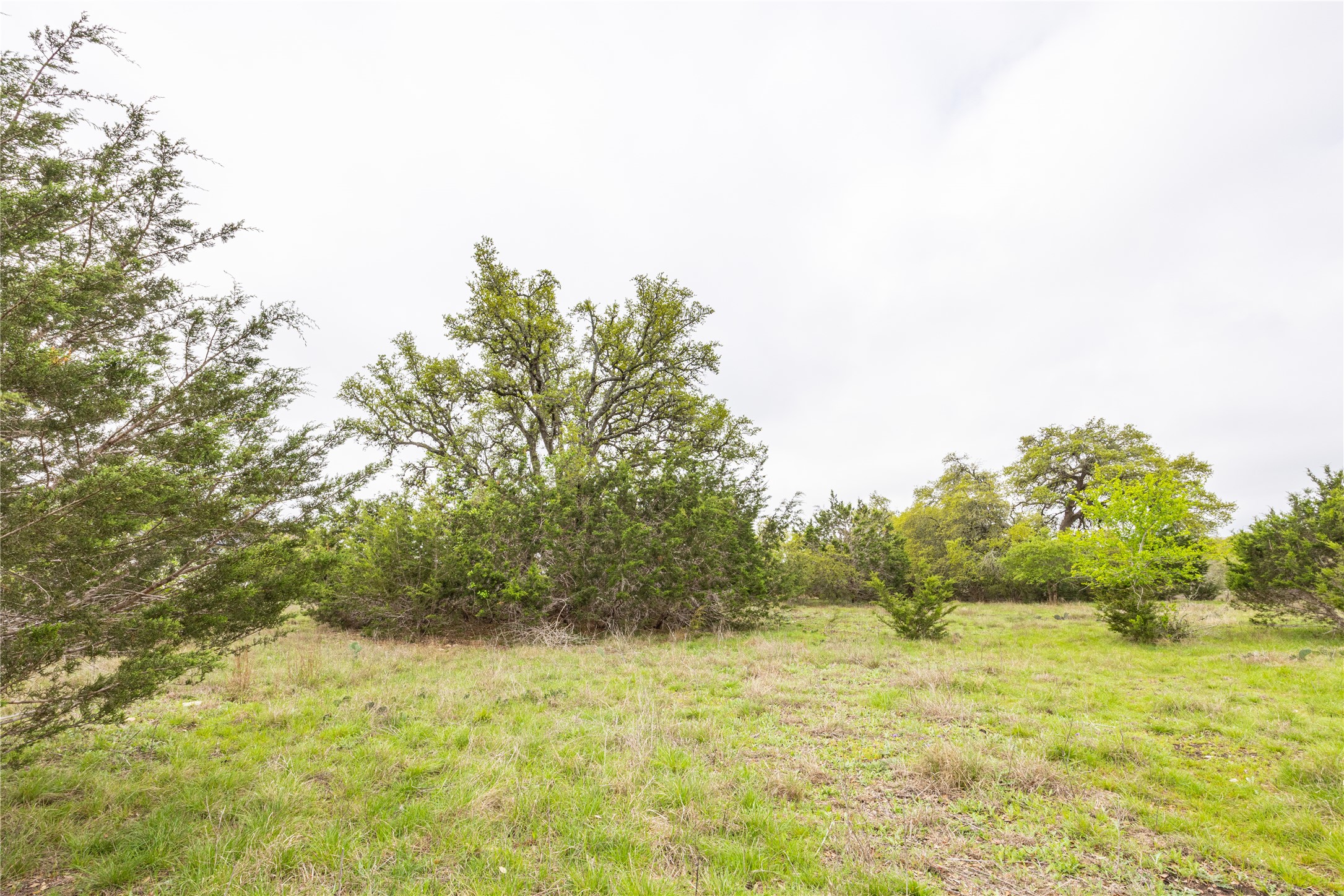 Tbd Tbd Logan's Way Blanco, TX 78606 - Photo 7 of 25 a view of ocean view