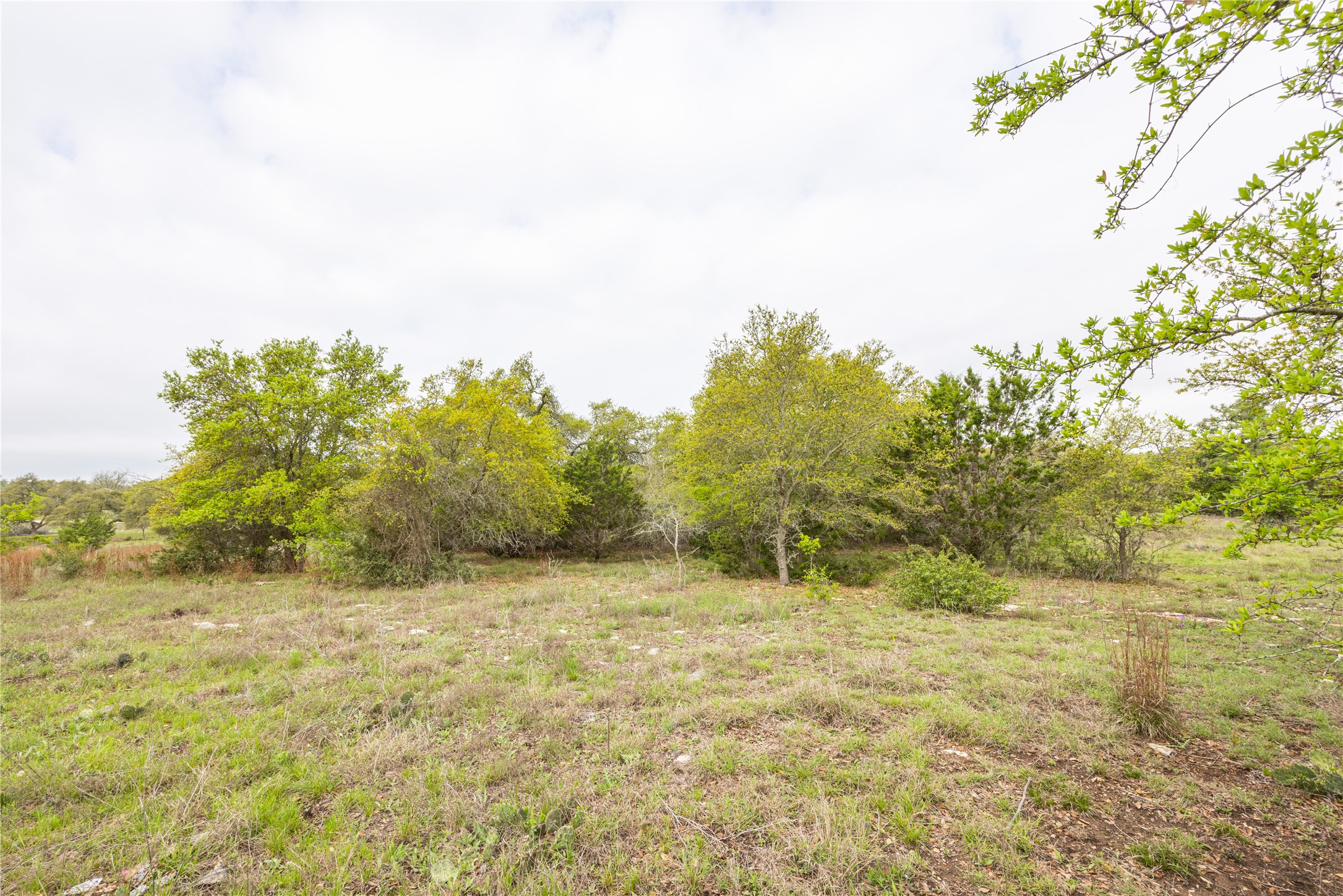 Tbd Tbd Logan's Way Blanco, TX 78606 - Photo 9 of 25 a view of a yard with trees