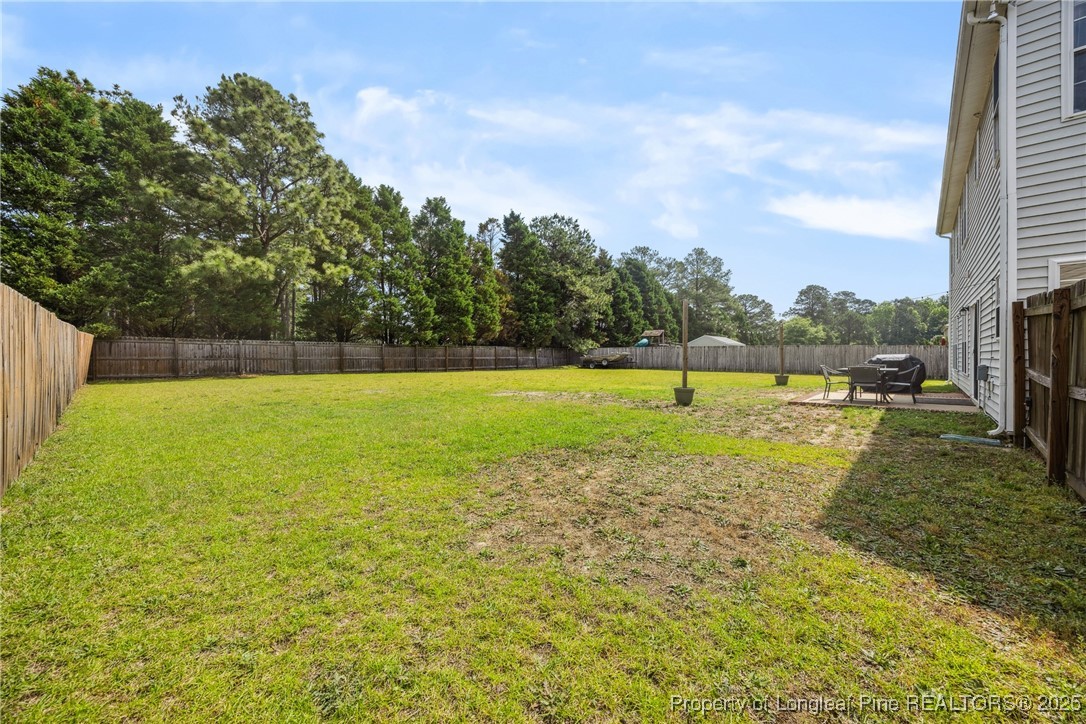 8809 Looking Glass Road Linden, NC 28356 - Photo 44 of 46 Gallery Image 44