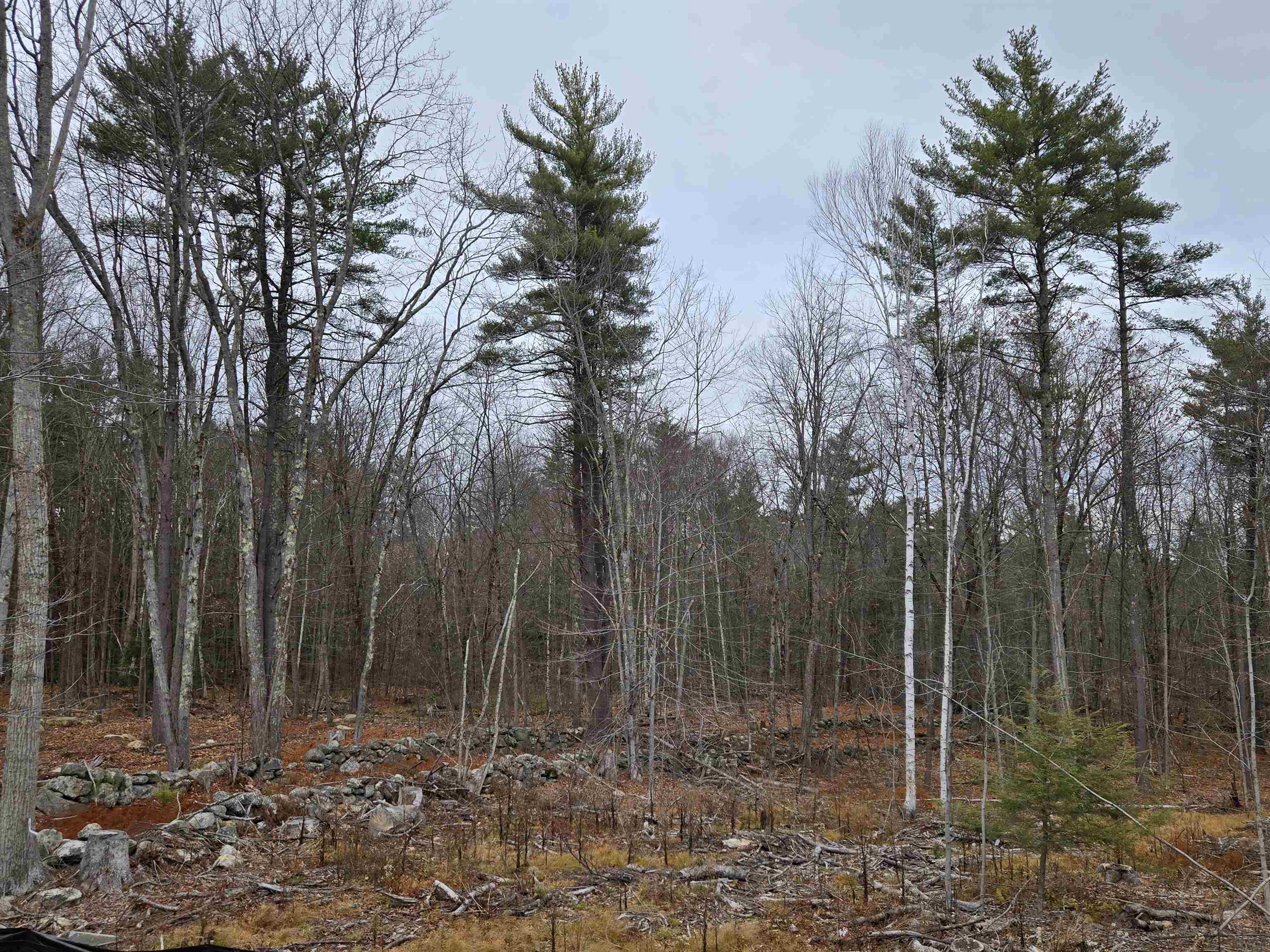 669 High Street Candia, NH 03034 - Photo 52 of 56