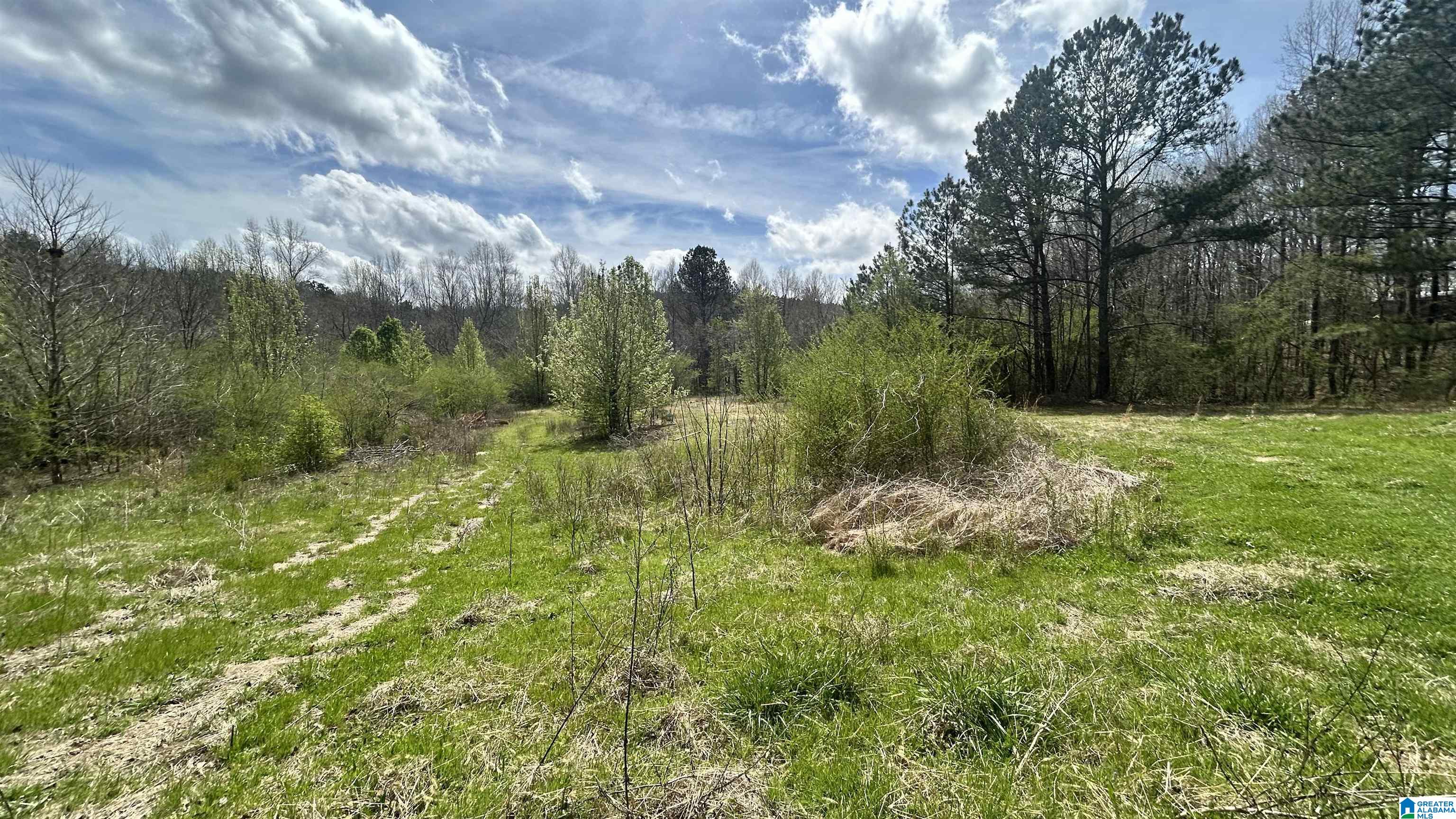 180 Demotte Road Southeast Bessemer, AL 35022 - Photo 9 of 13 Gallery Image 9