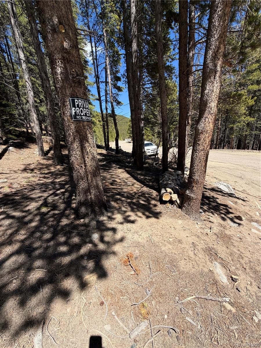 Lot 378 Alice Road Idaho Springs, CO 80452 - Photo 7 of 26 a view of a backyard of the house