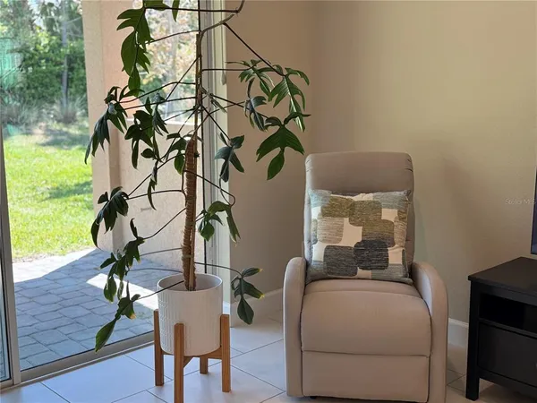 a living room with furniture and a potted plant