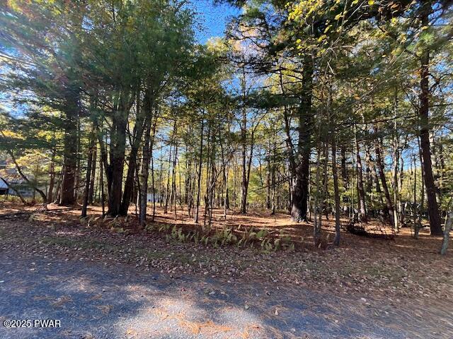 Lot 226 Hound Road Dingmans Ferry, PA 18328 - Photo 4 of 9