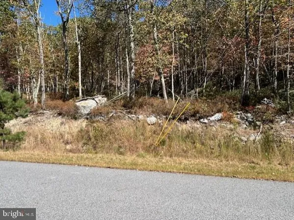 $55,000 | Lot 11 Chippewa Drive, Hazleton, PA 18202