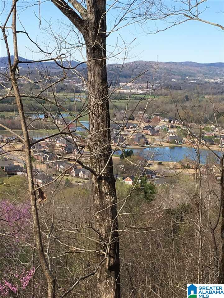 230 County Line Road Oxford, AL 36203 - Photo 29 of 50