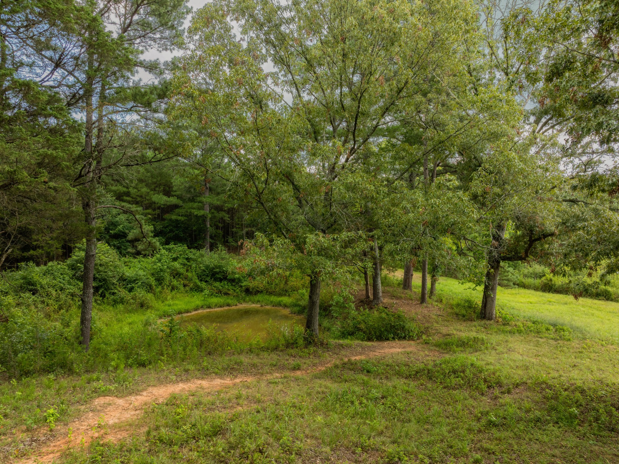930 Kensington Road Chickamauga, GA 30707 - Photo 76 of 82 a view of park with trees