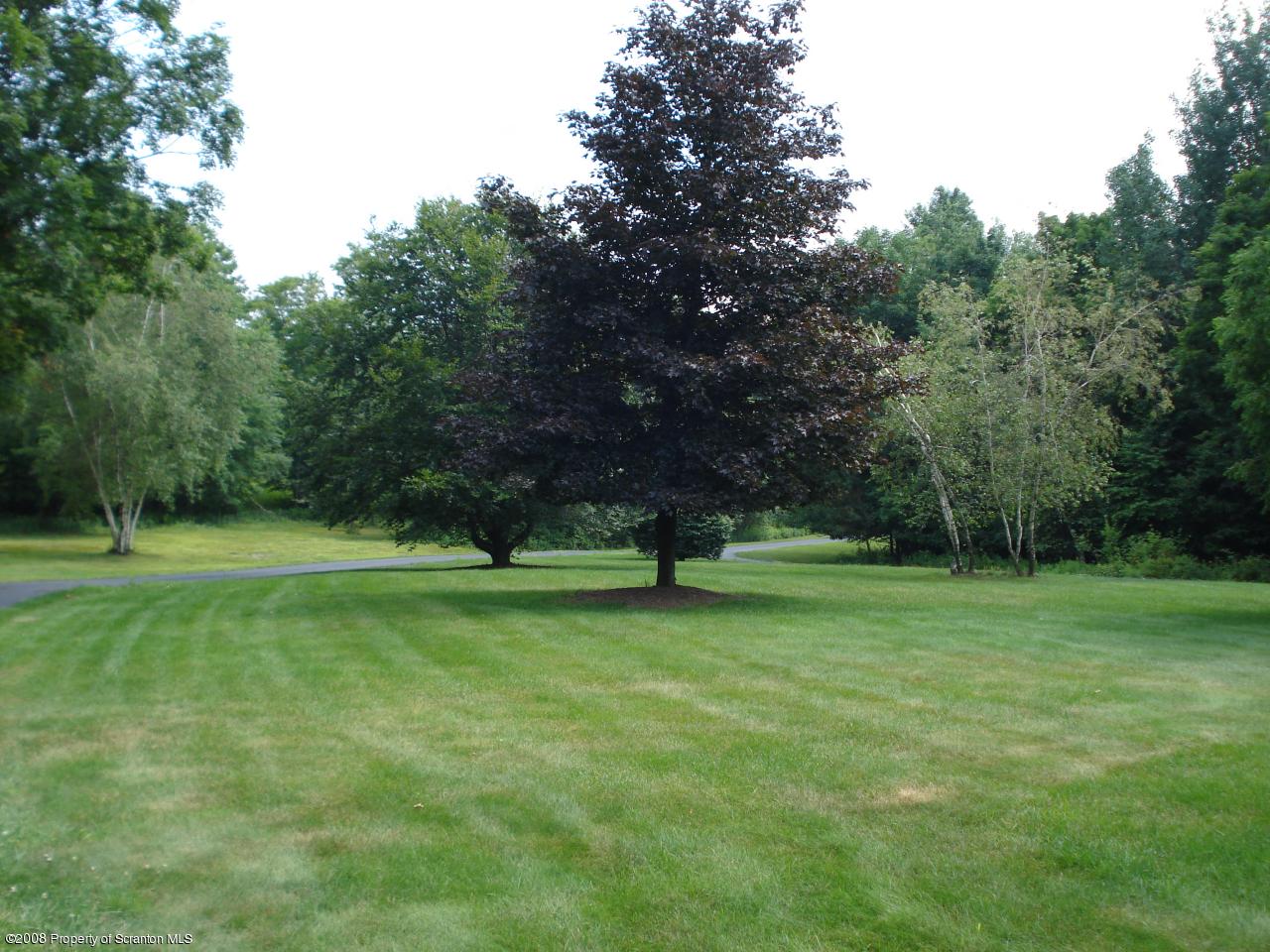 72 Memory Lane Moscow, PA 18444 - Photo 7 of 34 a view of a big yard with a trees