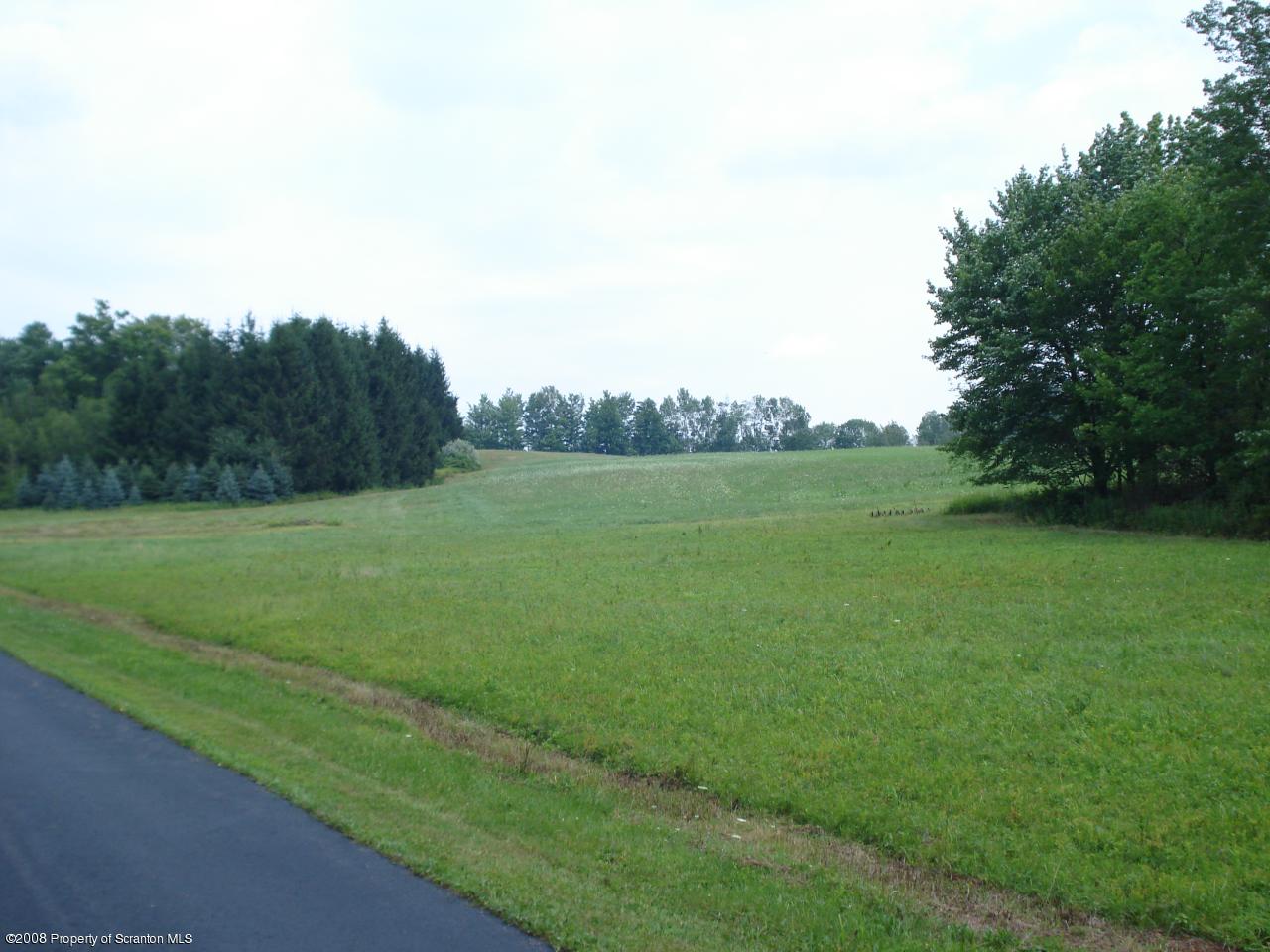 72 Memory Lane Moscow, PA 18444 - Photo 8 of 34 a view of a grassy field with trees