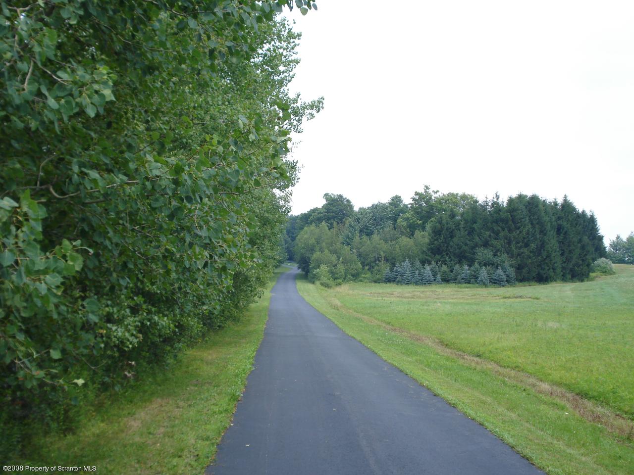 72 Memory Lane Moscow, PA 18444 - Photo 9 of 34 a view of a field with an trees