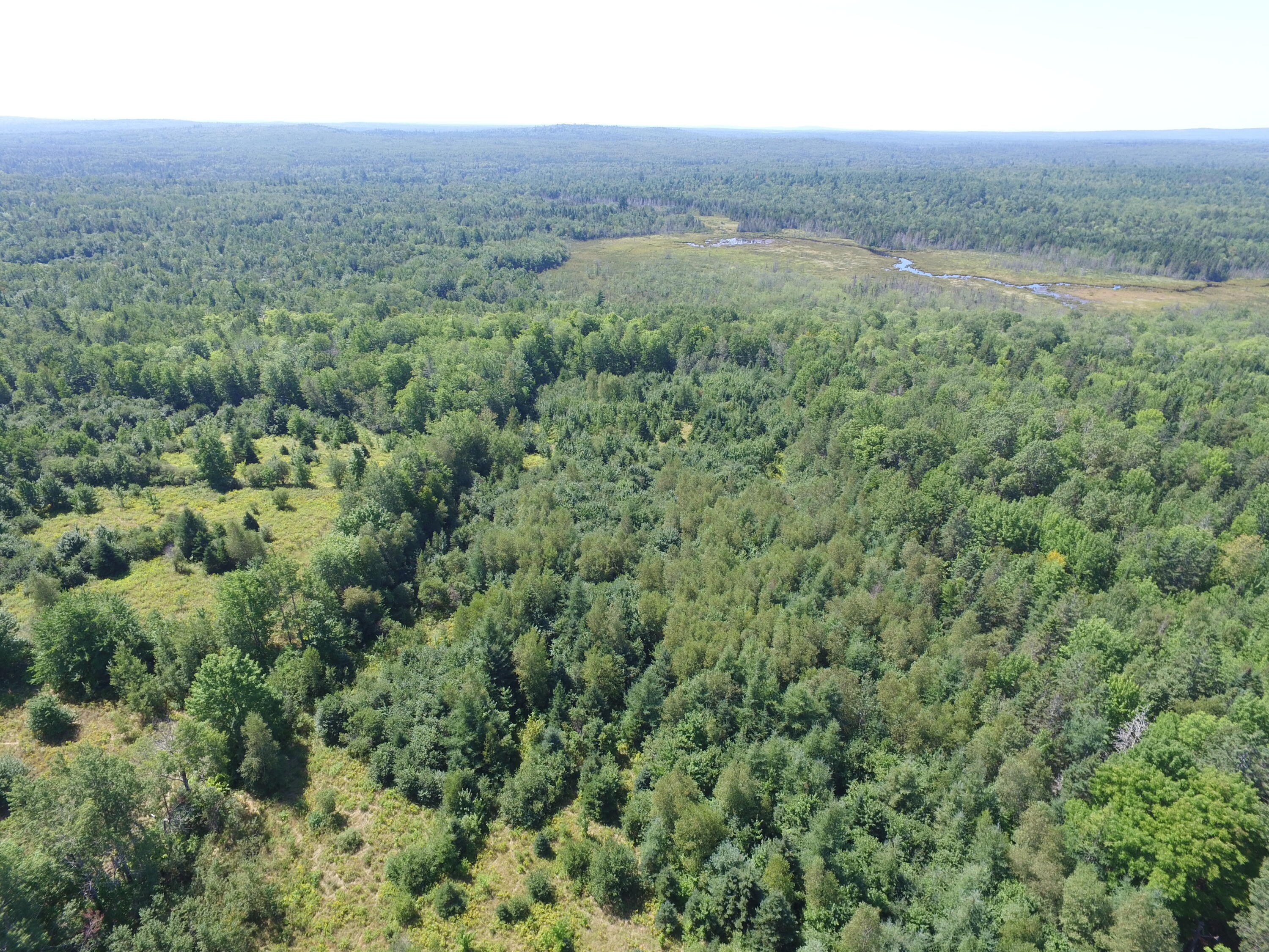 0 Smith Ridge Road Charlotte, ME 04666 - Photo 1 of 8 DJI_0049