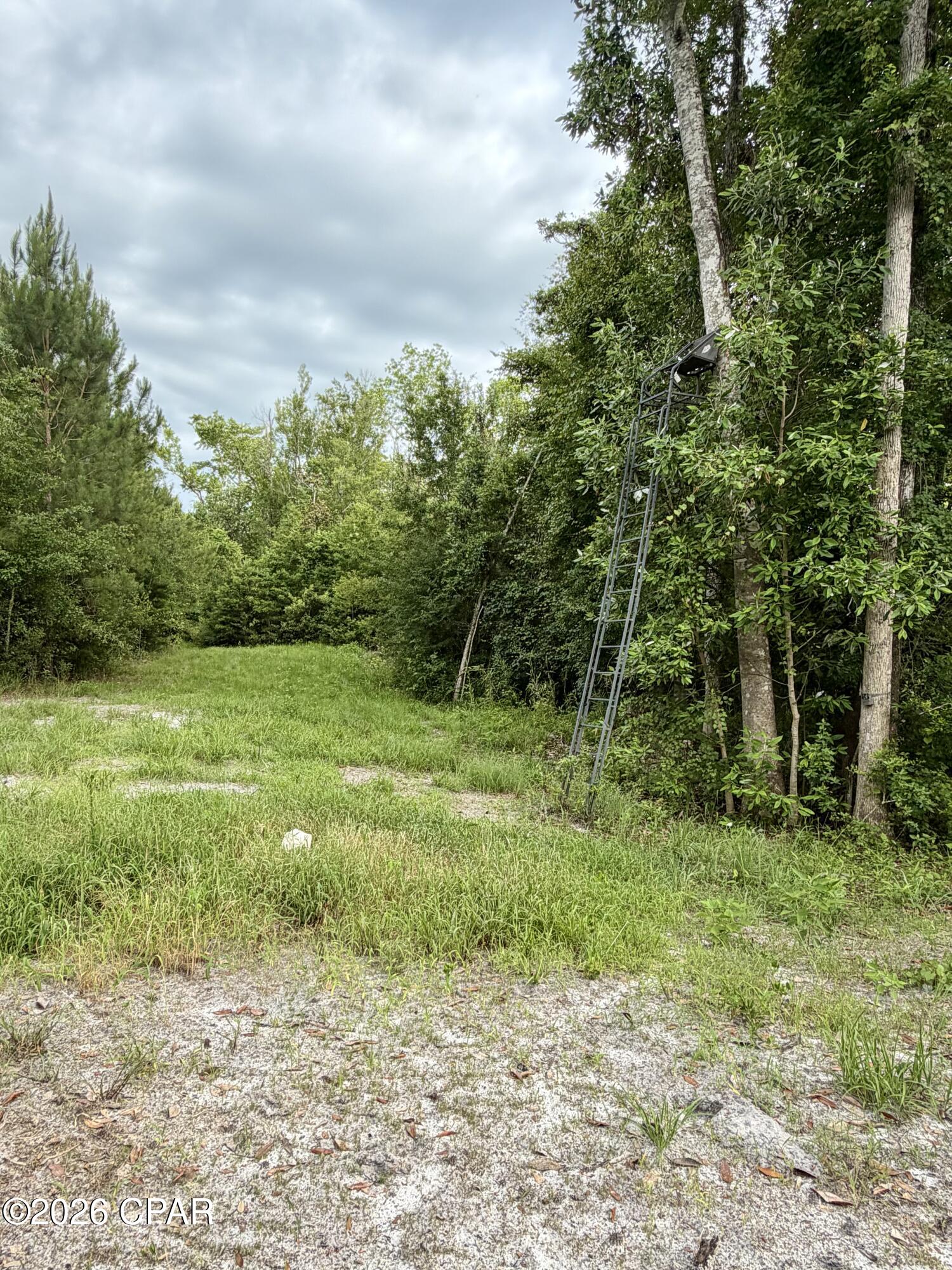 14567 C J Roberts Road Blountstown, FL 32424 - Photo 35 of 38
