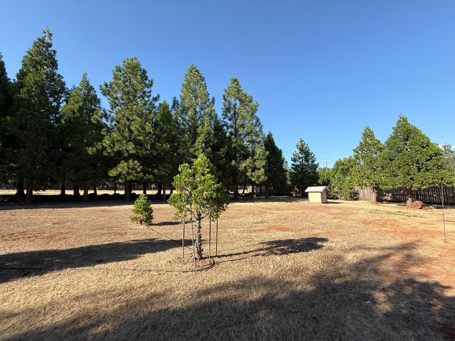 5000 Wilson Hill Road Manton, CA 96059 - Photo 57 of 63