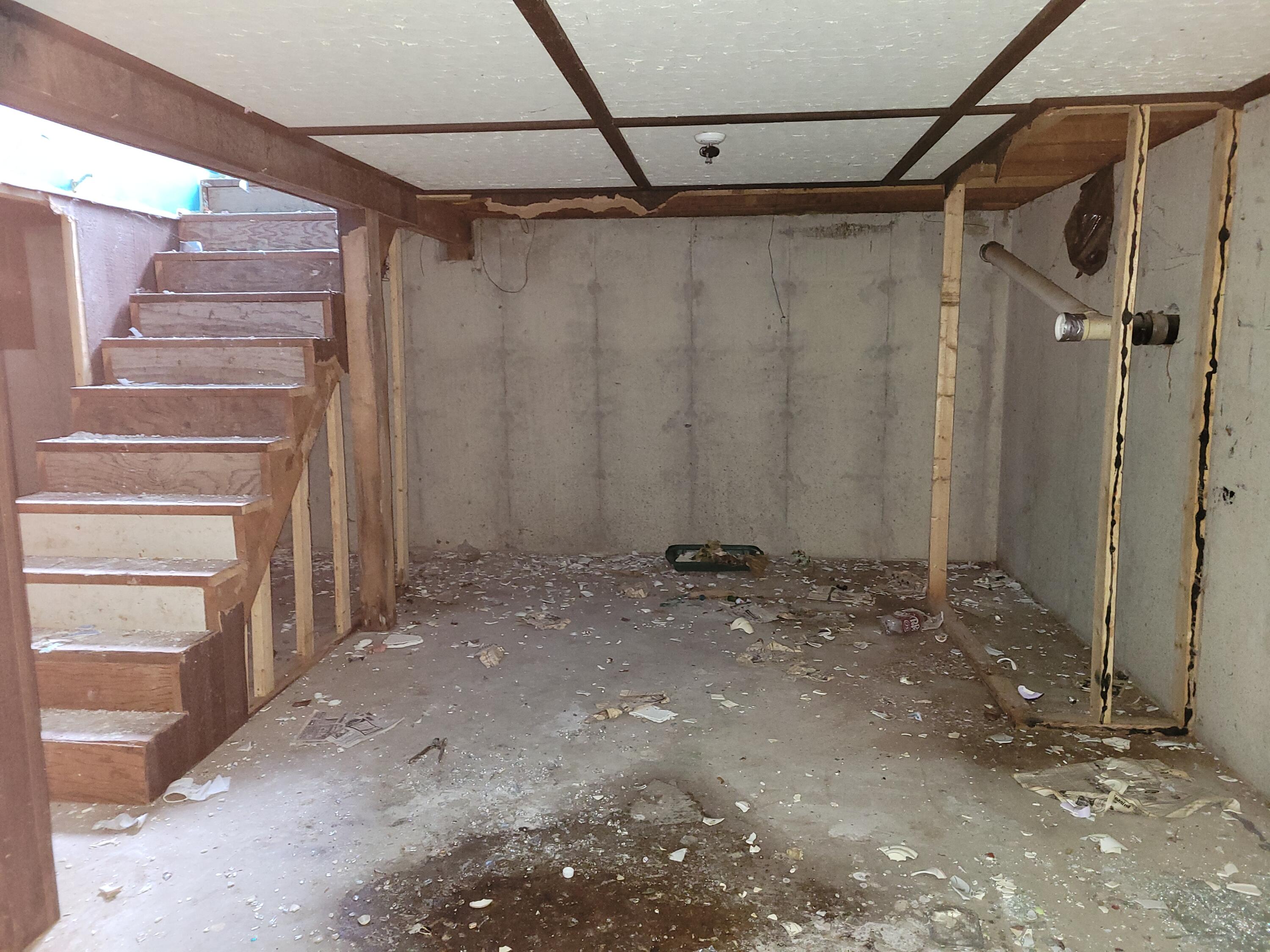 4751 Fruin Road Bellevue, MI 49021 - Photo 12 of 13 4751 Fruin Rd - basement 1