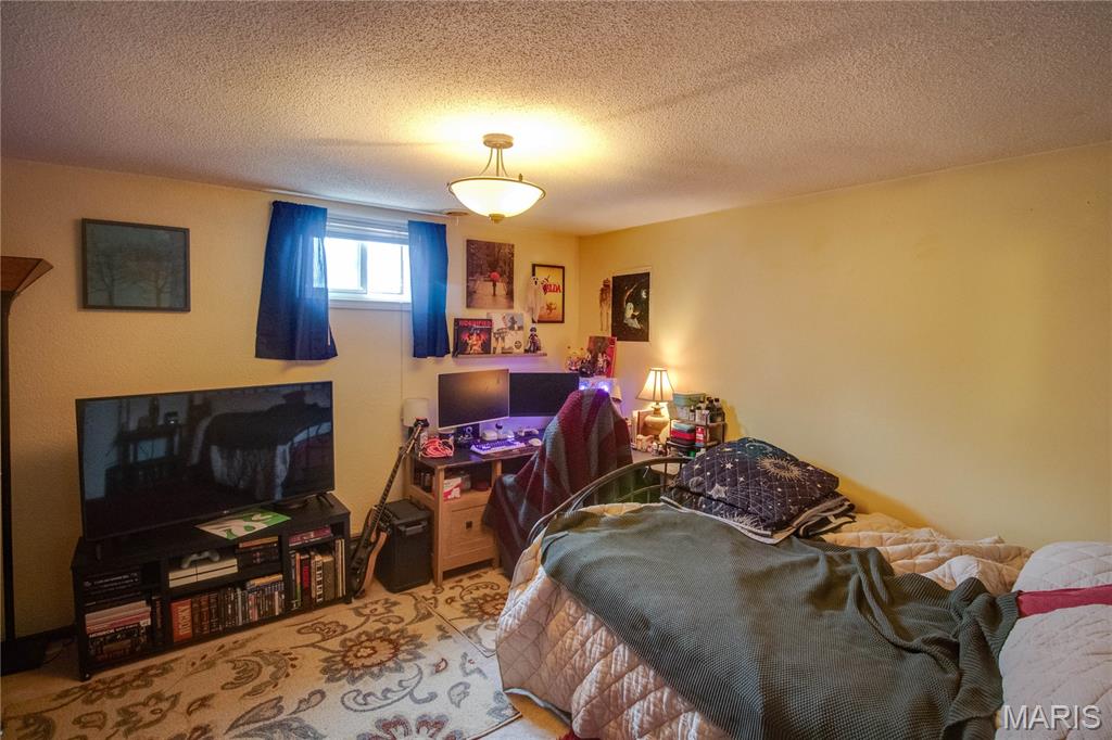 26195 Airport Road Dow, IL 62022 - Photo 58 of 89