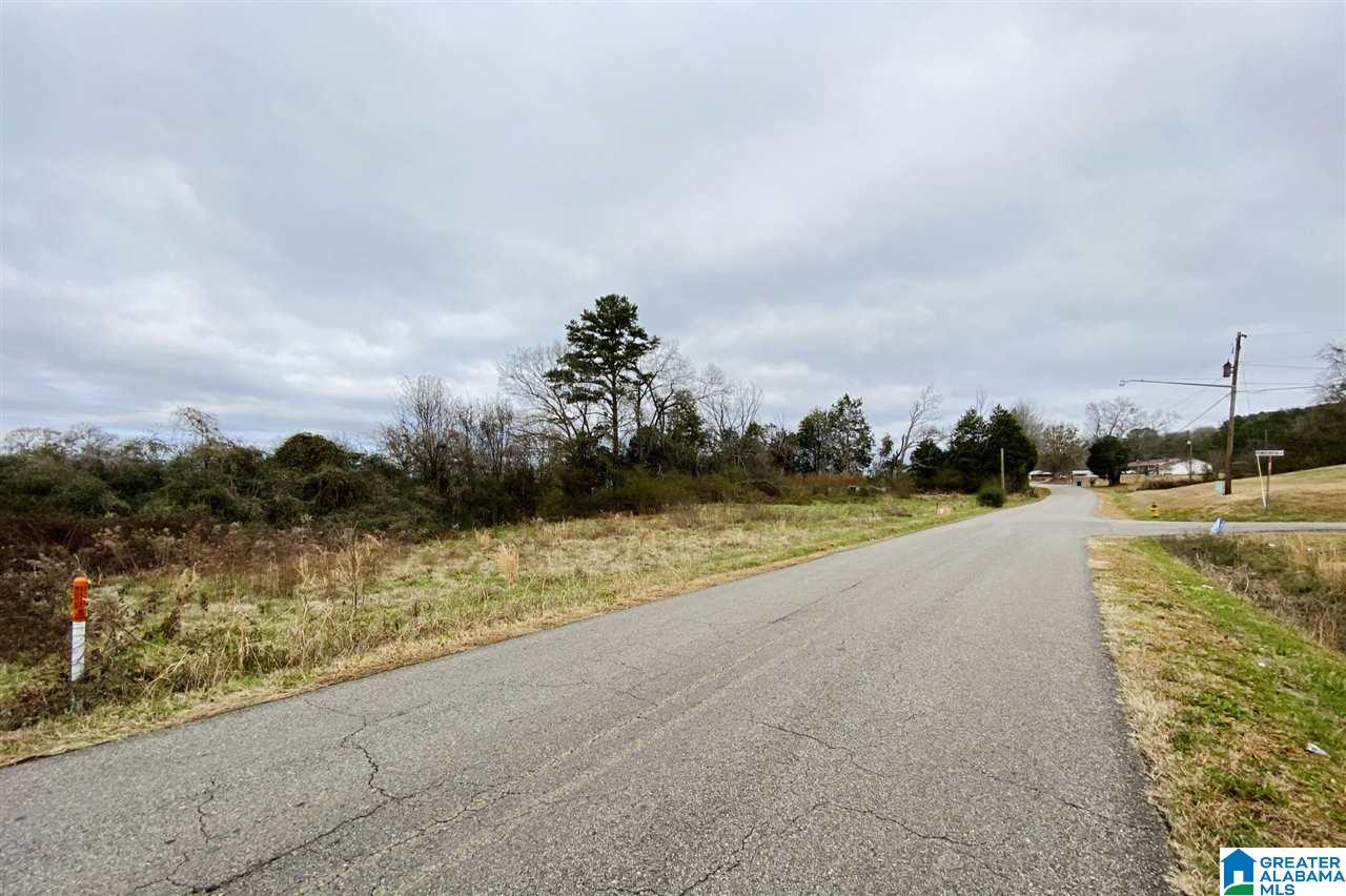 650 Peaceful Valley Road, Unit 98 AC Eastaboga, AL 36260 - Photo 6 of 10