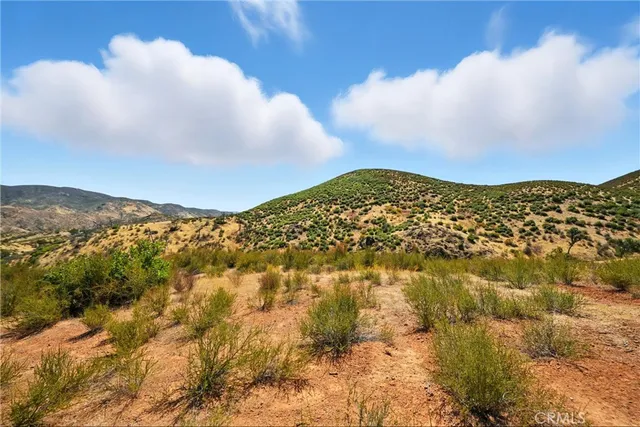 a view of swimming pool from a yard