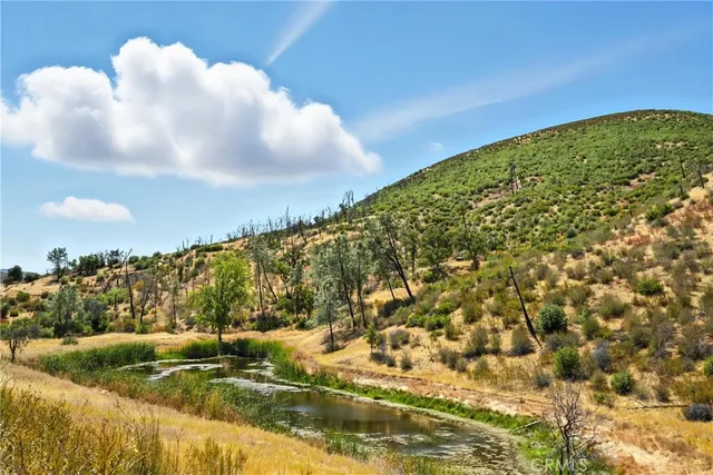 a view of a dry yard