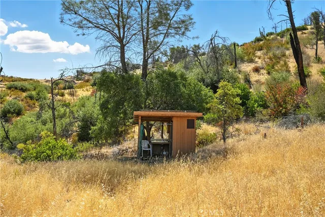 a view of a garden with plants
