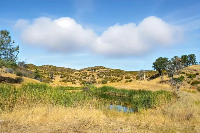 a view of a tree with a yard