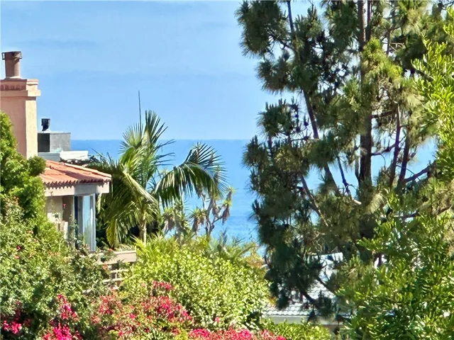 a plant that is in front of a house