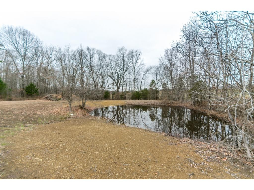 90 Carpenters Chapel Road Mosheim, TN 37818 - Photo 6 of 18 Photo 6