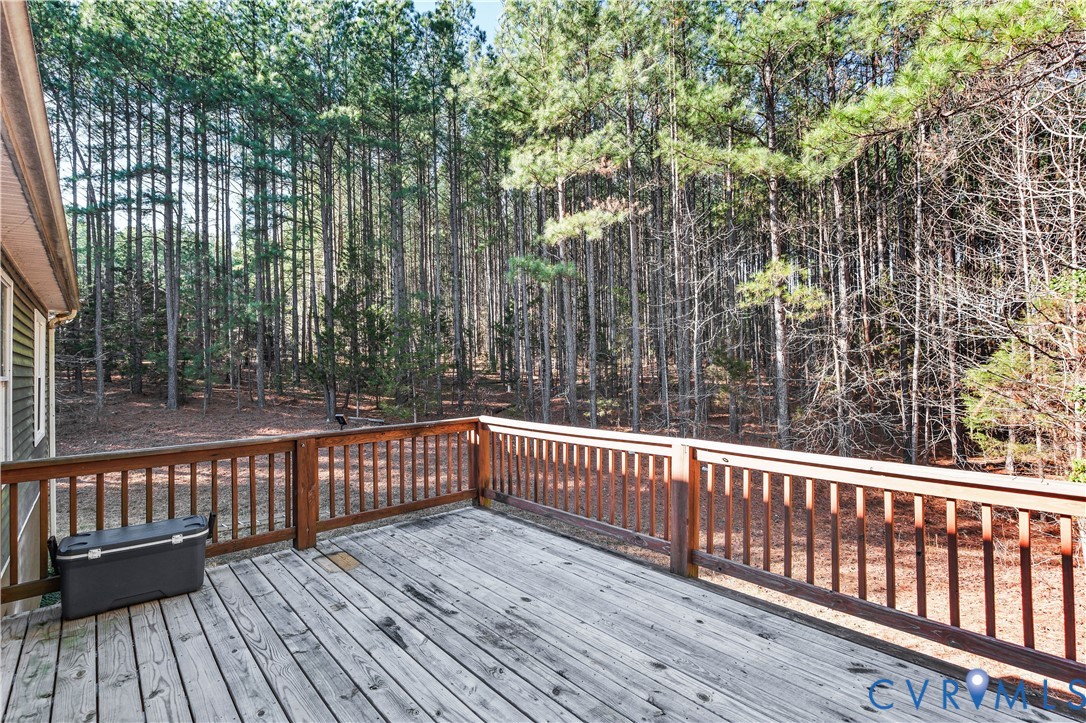 339 Loman Road Meherrin, VA 23954 - Photo 30 of 34