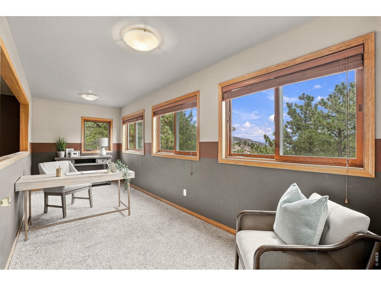 256 Choctaw Road Lyons, CO 80540 - Photo 9 of 43 Gallery Image 9