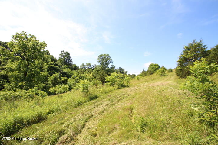 13240 Georgetown Road Owenton, KY 40359 - Photo 15 of 16 IMG_6810