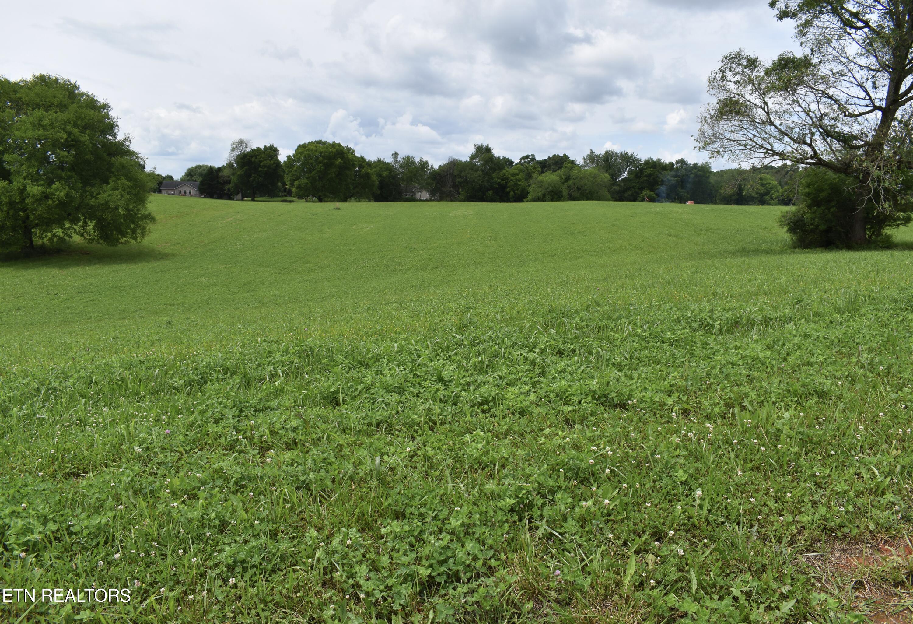 Lot 13 Temple Road Seymour, TN 37865 - Photo 1 of 7 DSC_0015