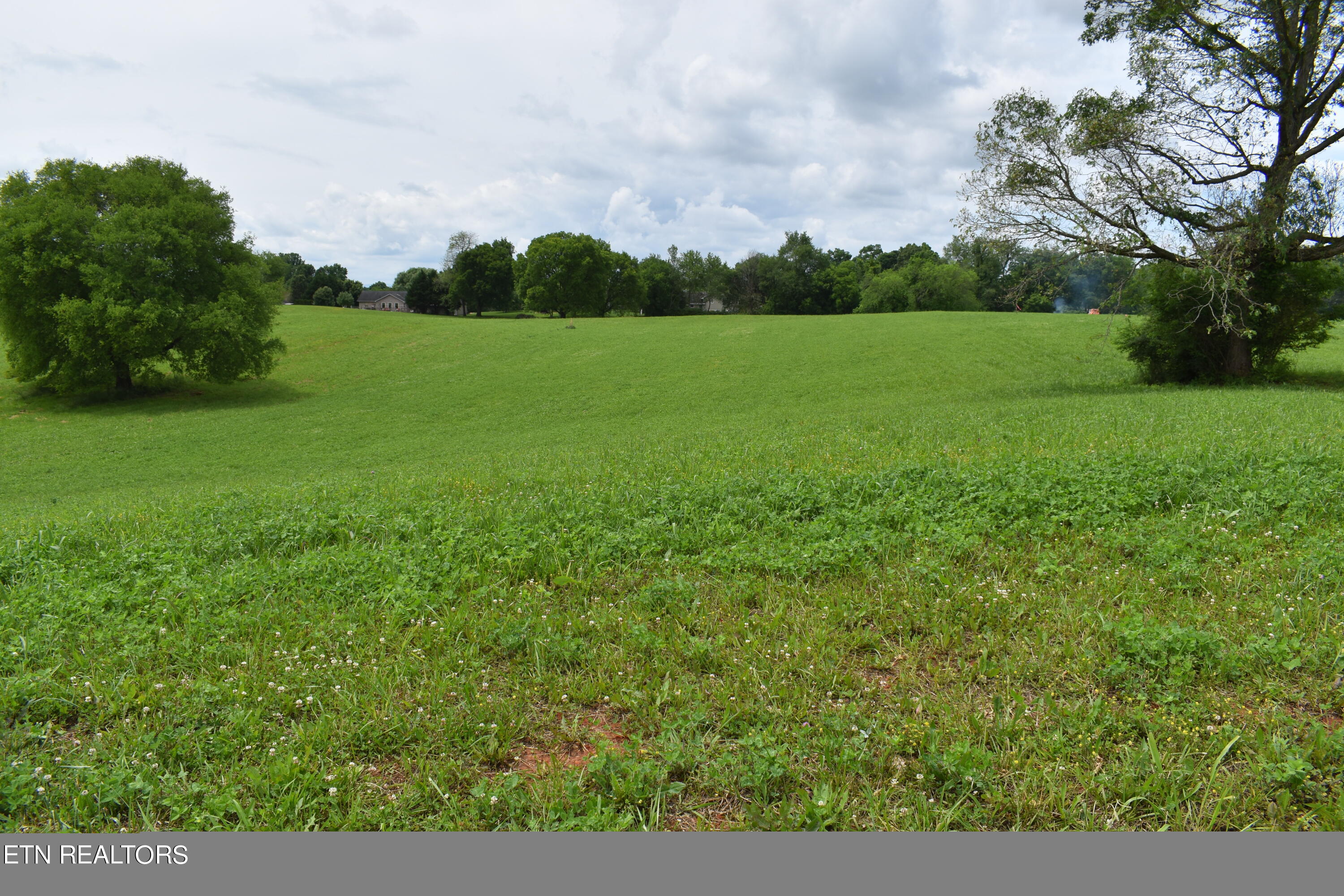 Lot 13 Temple Road Seymour, TN 37865 - Photo 2 of 7 DSC_0014