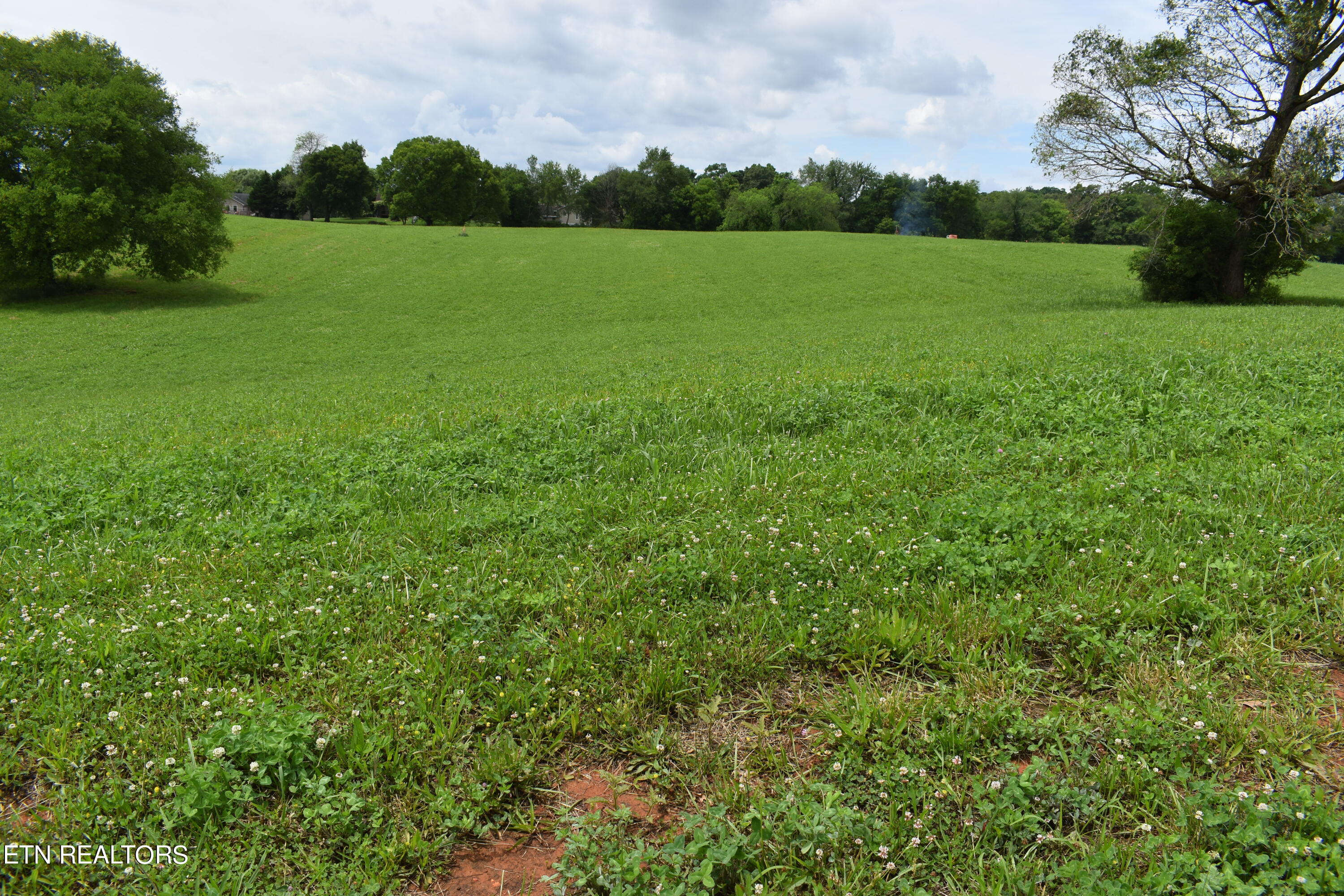 Lot 13 Temple Road Seymour, TN 37865 - Photo 3 of 7 DSC_0016