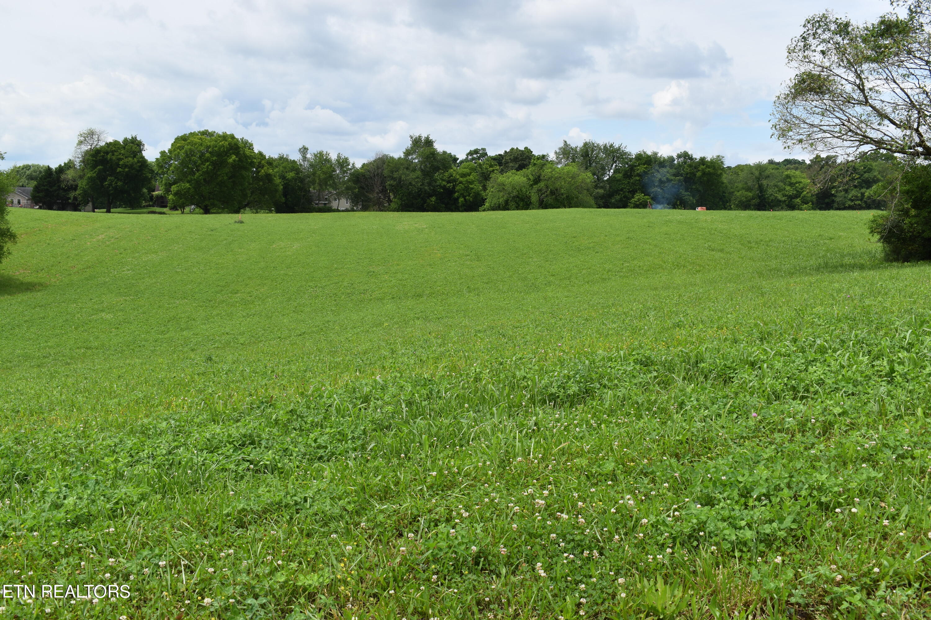 Lot 13 Temple Road Seymour, TN 37865 - Photo 4 of 7 DSC_0017