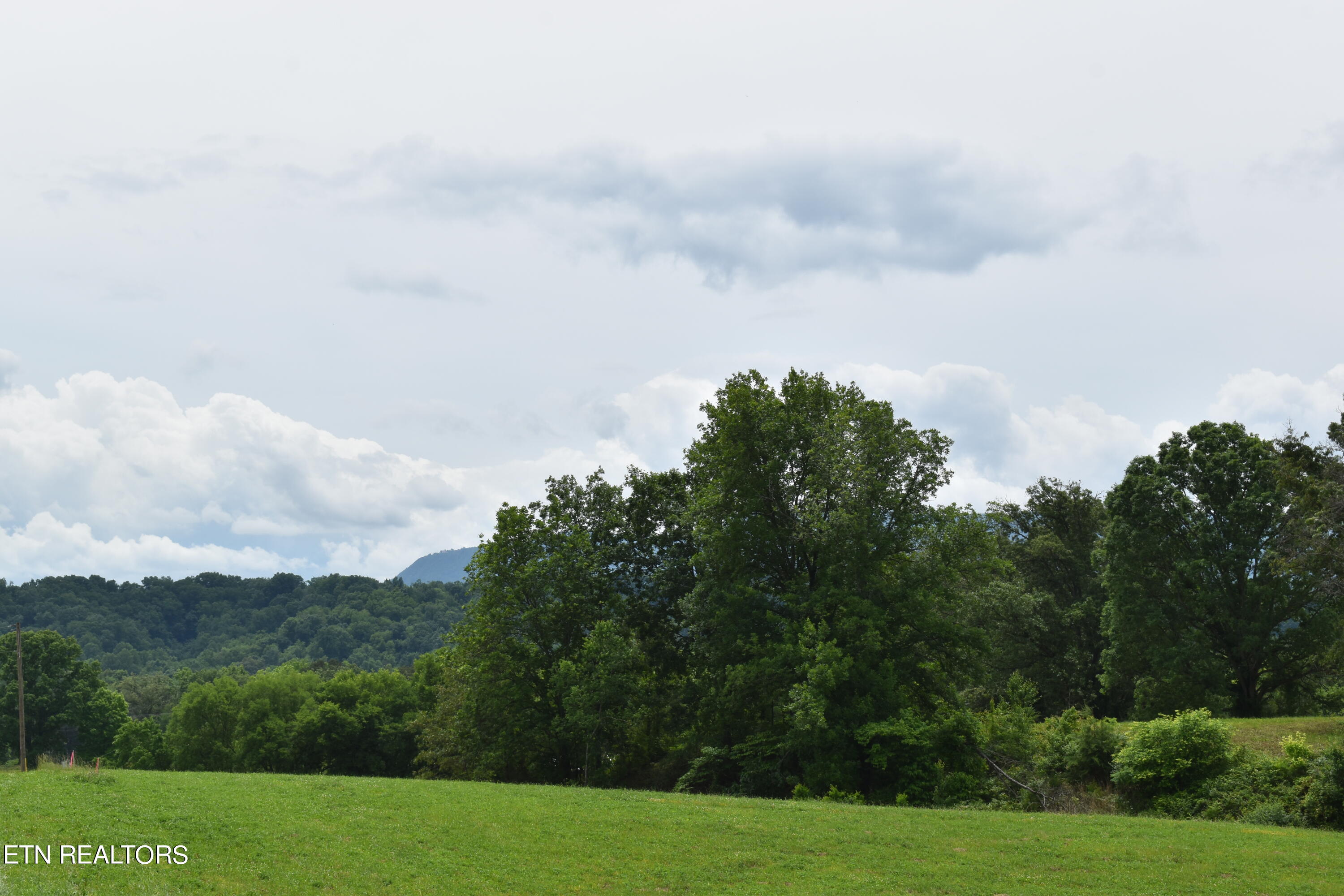 Lot 13 Temple Road Seymour, TN 37865 - Photo 5 of 7 DSC_0018