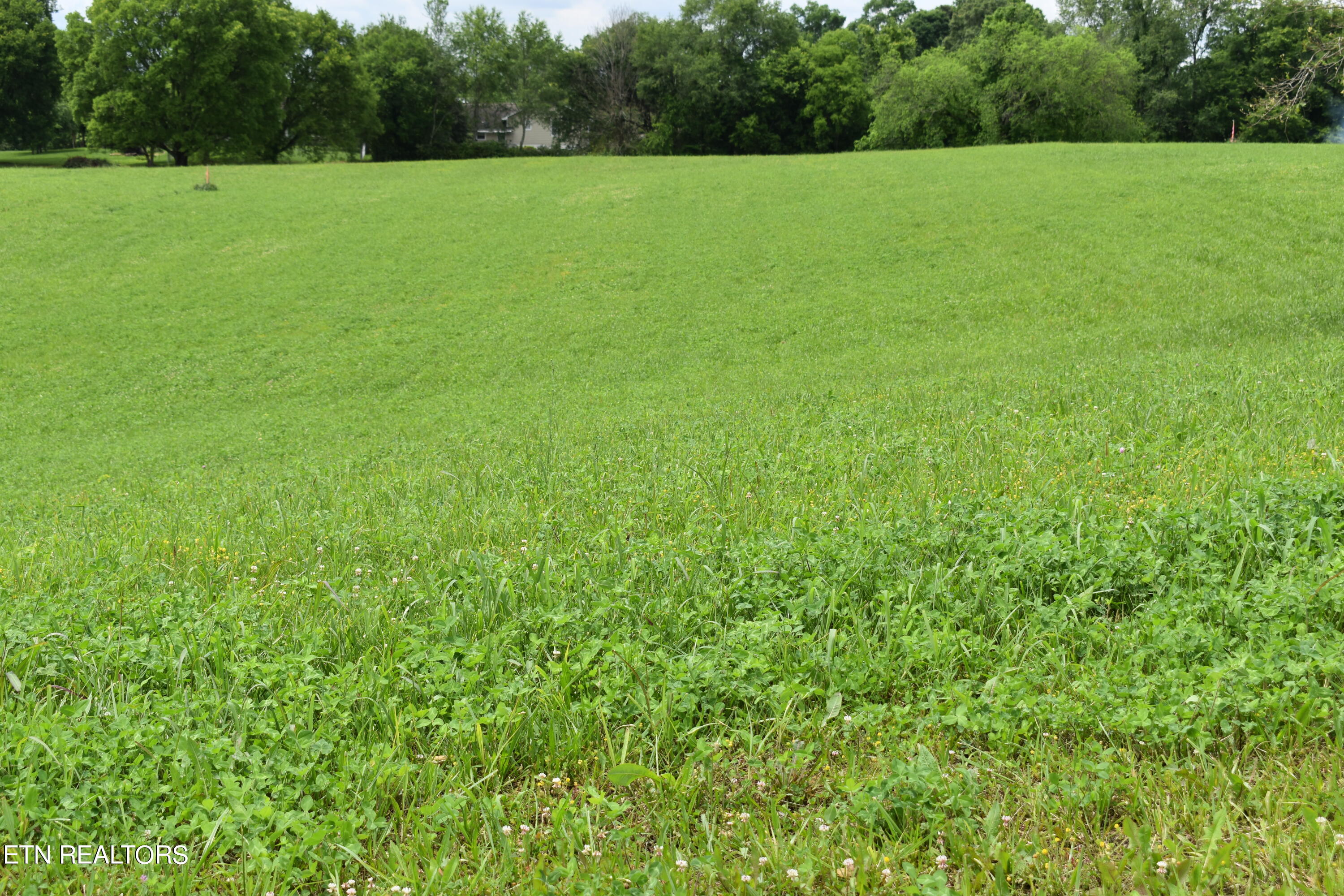 Lot 13 Temple Road Seymour, TN 37865 - Photo 7 of 7 DSC_0020