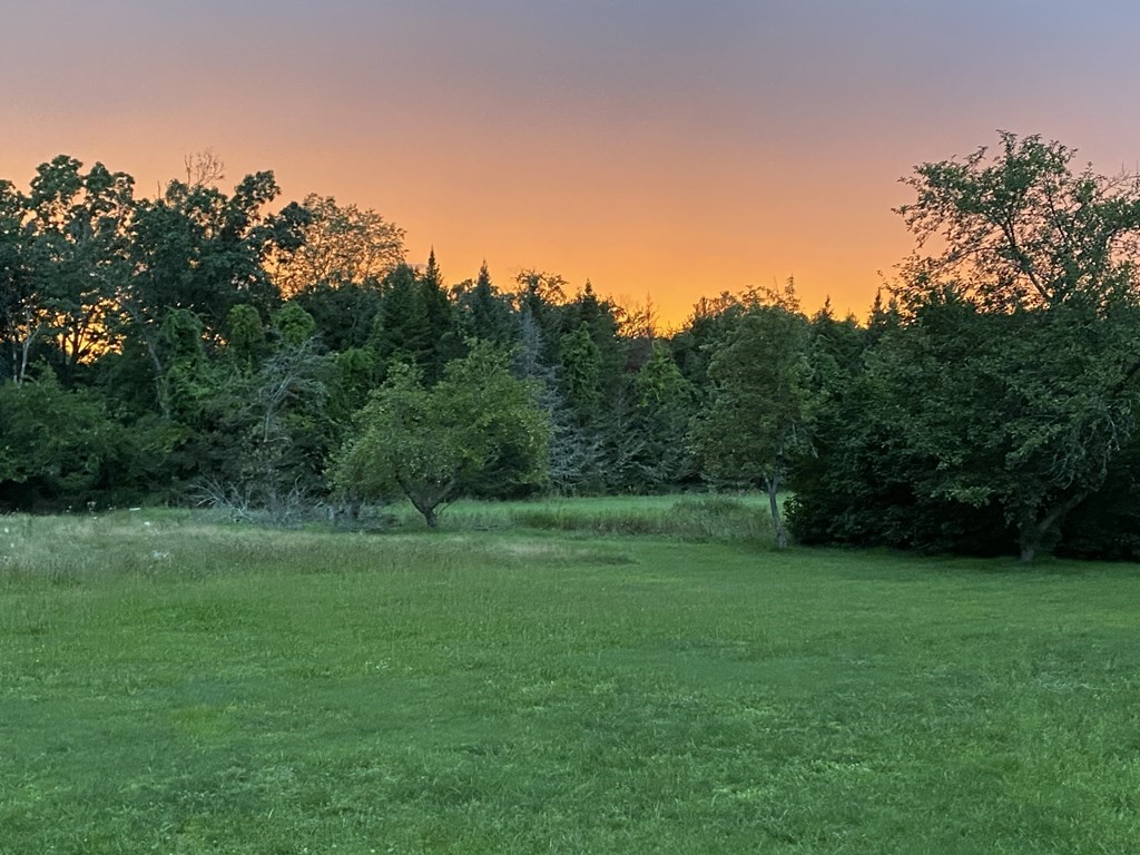224 Lancaster Road Berlin, MA 01503 - Photo 32 of 32 a view of a grassy field with trees in the background