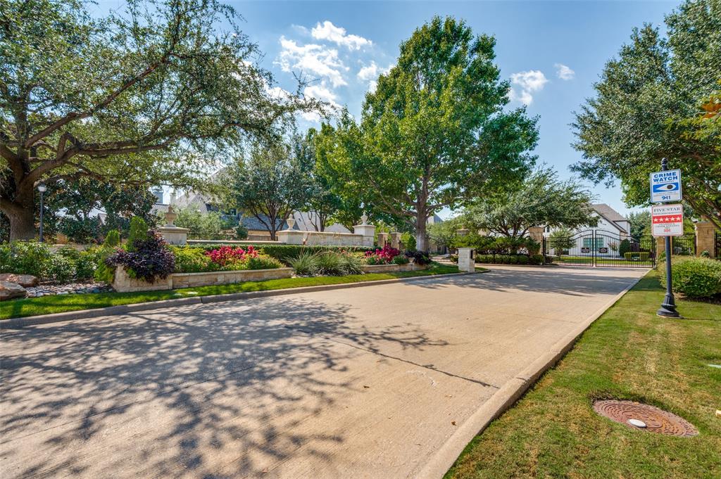 10482 Tobias Lane Frisco, TX 75033 - Photo 6 of 40 a view of a yard with plants