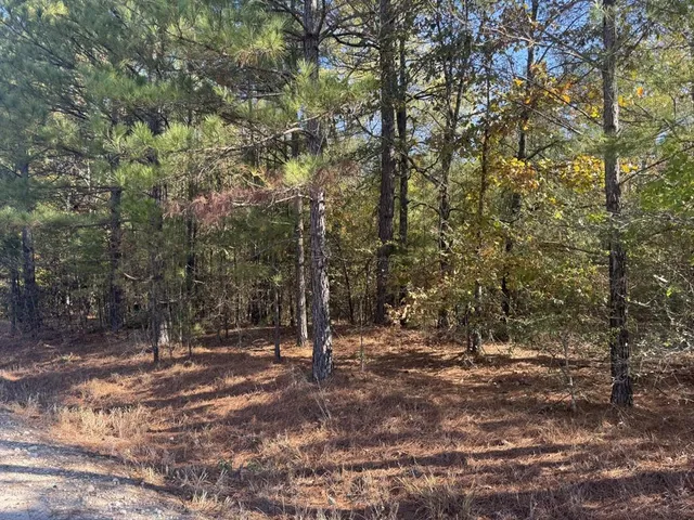a view of outdoor space with trees