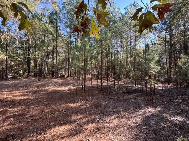 a view of outdoor space with lots of trees