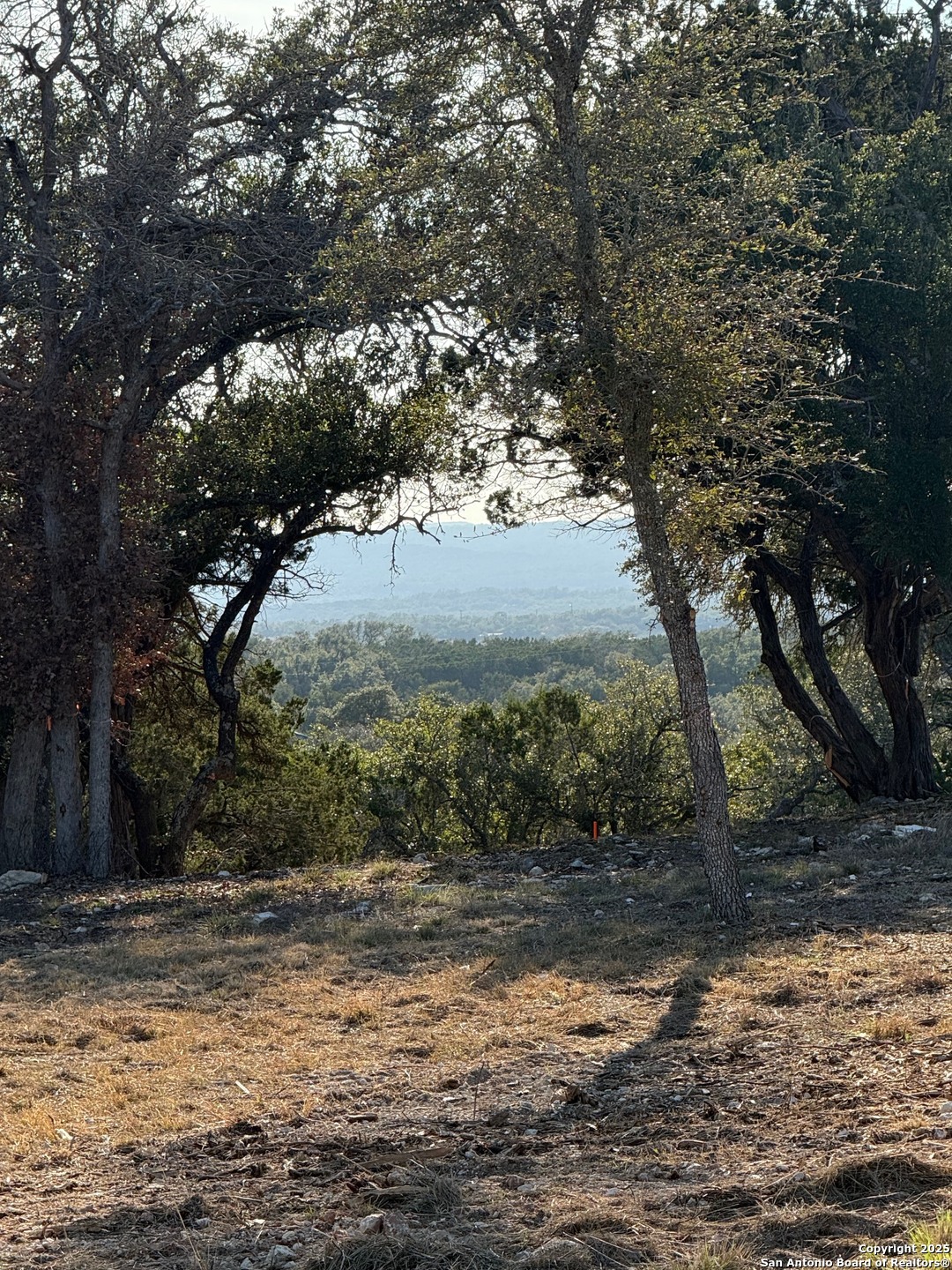 659 Butler Oaks Bulverde, TX 78163 - Photo 2 of 30